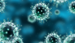 HPV vakcinával kapcsolatos kérdések (1. rész)