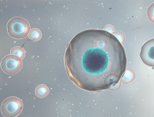Felszaporított őssejtekkel kezelés